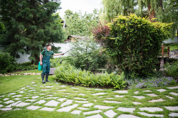 Best Pest Removal Services  in River Bend, NC