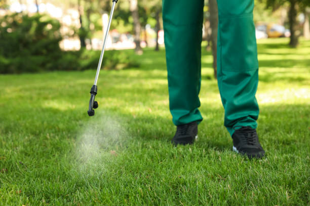 Best Best Pest Control Companies  in River Bend, NC