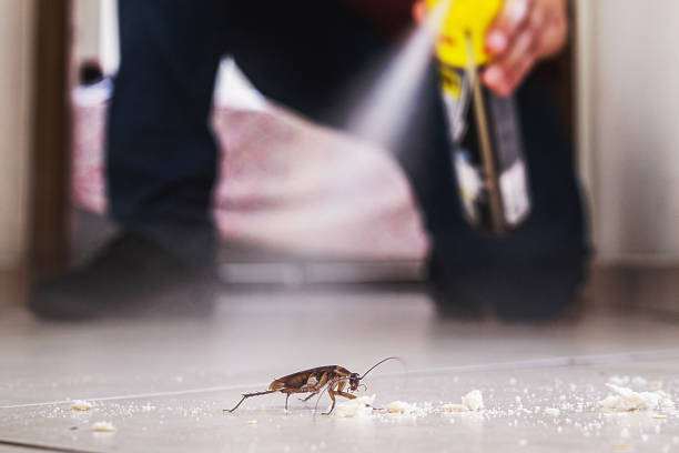 Best Affordable Pest Control Services  in River Bend, NC