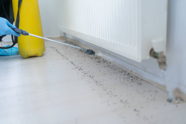 Best Residential Pest Control  in River Bend, NC