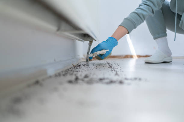Best Commercial Pest Control Services  in River Bend, NC